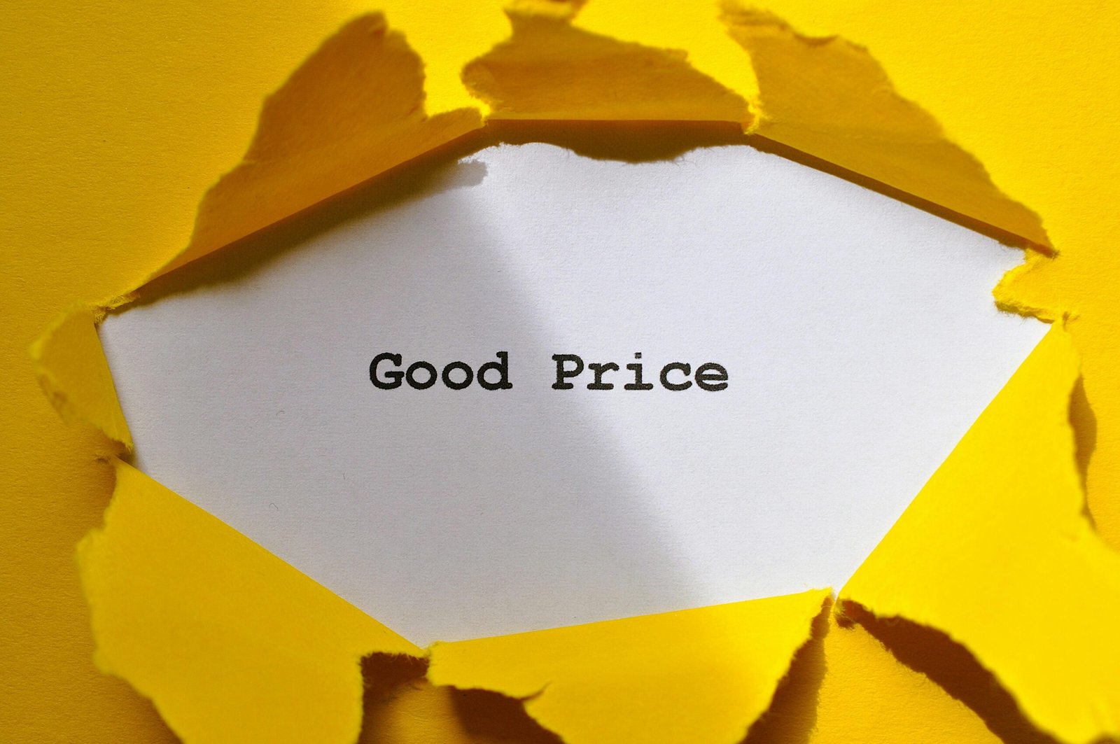 pexels-adriana-beckova-1584864721-33008583